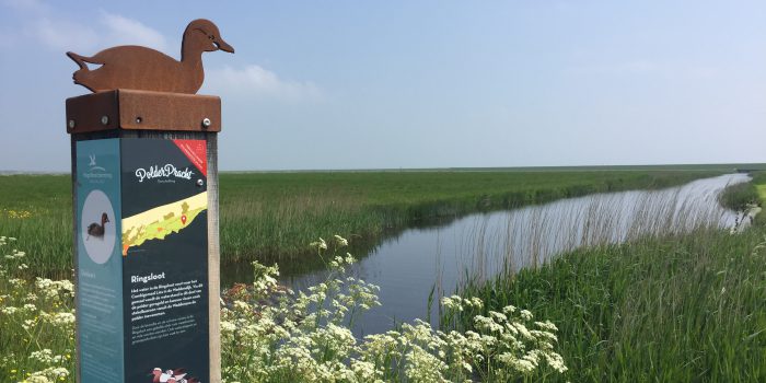 polderpracht fietsroute op Terschelling – Hallo Terschelling