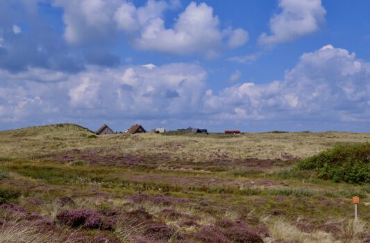 Vakantiehuis op Terschelling Overzicht – Hallo Terschelling – halloterschelling.nl